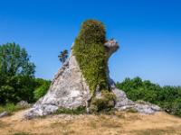 Raukfigur mit Nase sowie Haare und Bart aus Rankpflanzen im Grausne Norra Raukgebiet - Lickershamn